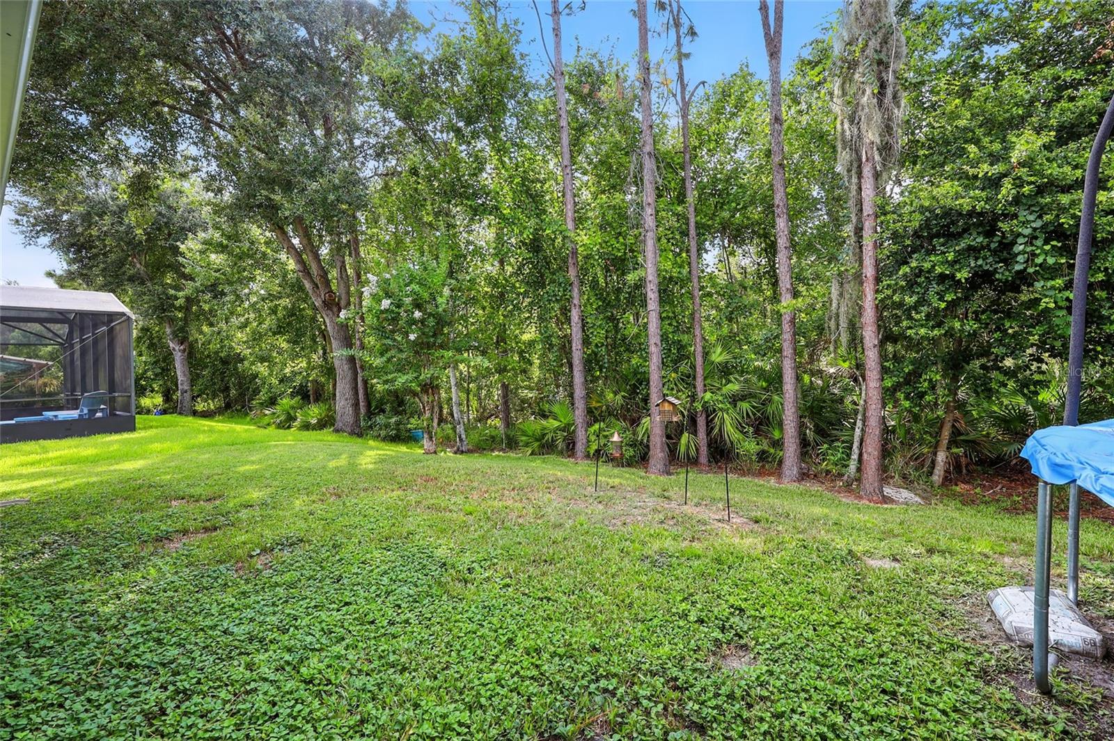 Image 43 of 61 For 5816 Covington Cove Way