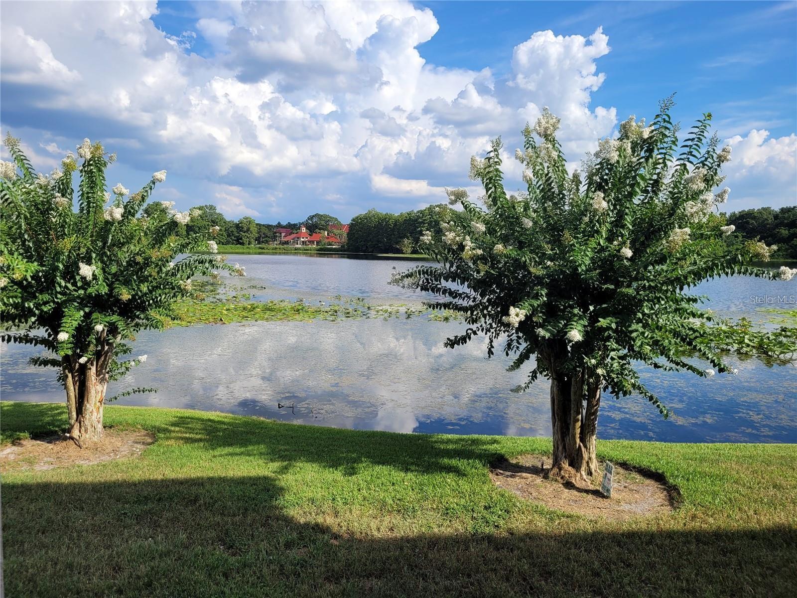 Image 18 of 21 For 155 Pearl Lake Causeway 200