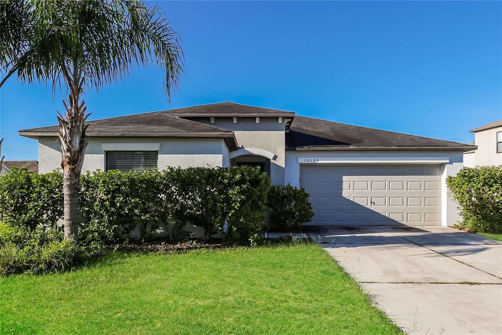 Details for 36124 Stable Wilk Avenue, ZEPHYRHILLS, FL 33541