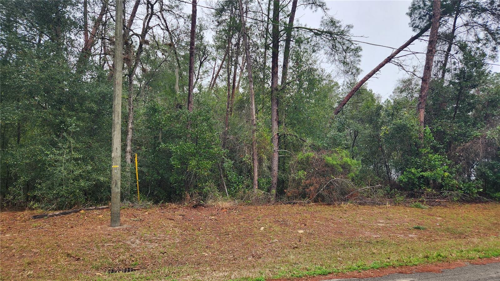 Details for Locust Course Radial, OCALA, FL 34472