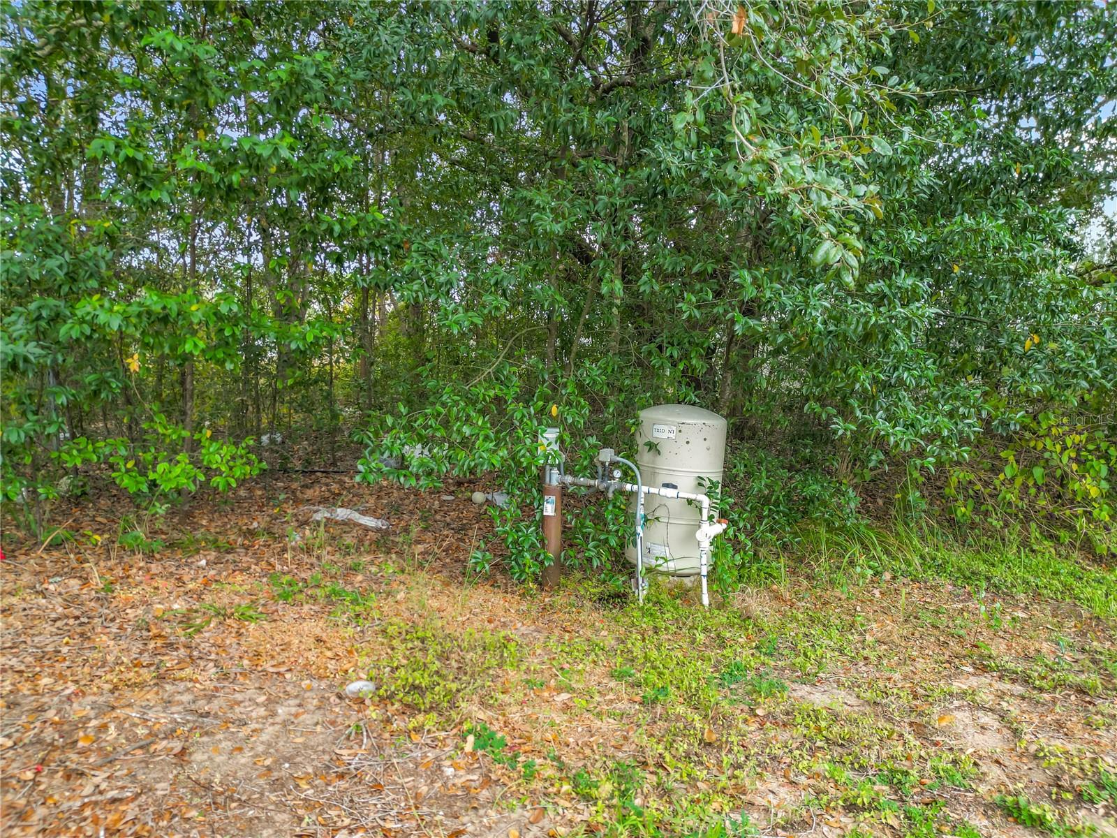 Image 34 of 42 For 14 Water Track