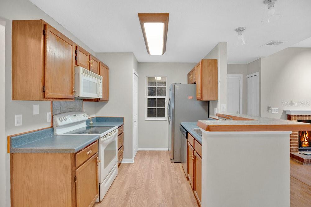 Image 11 of 27 For 949 Bird Bay Court 101