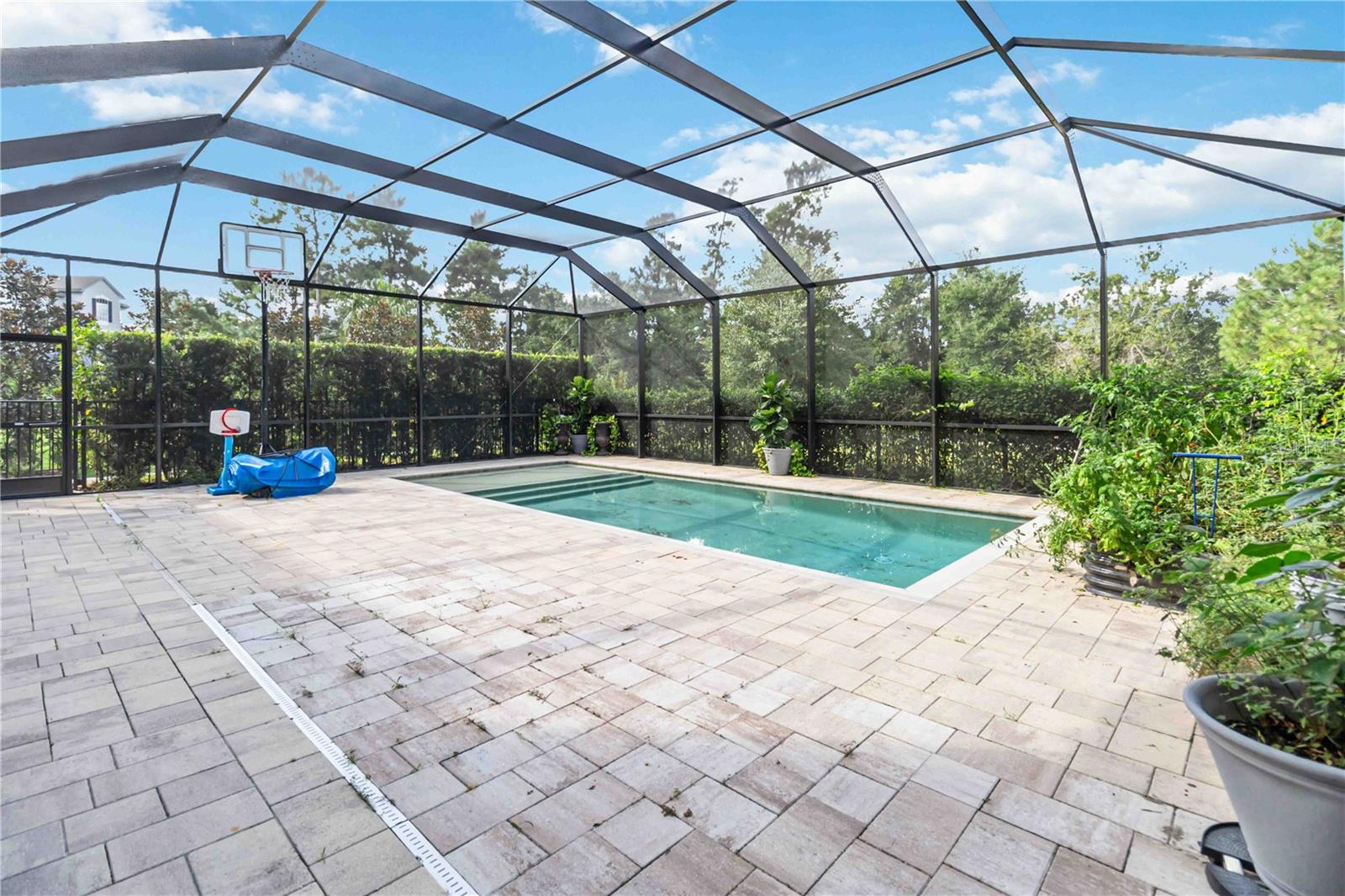 Image 46 of 59 For 10594 Royal Cypress Way