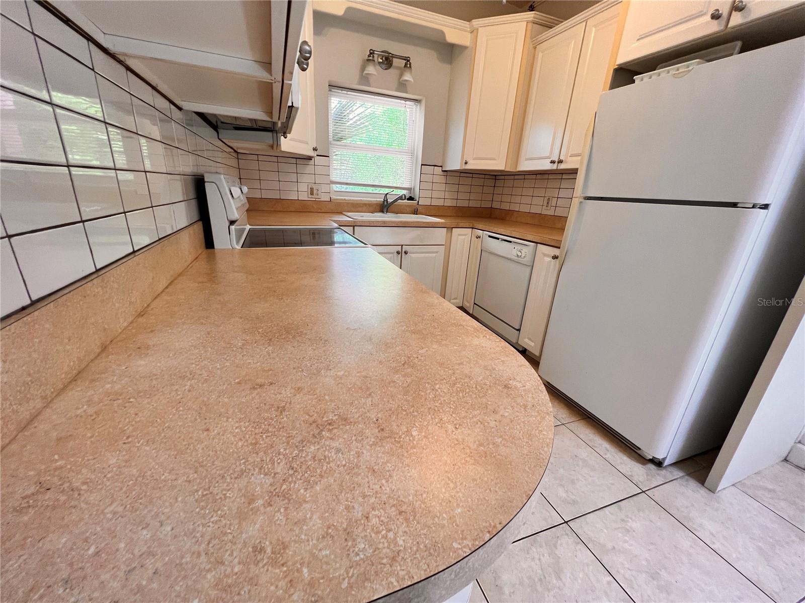 Image 10 of 24 For 253 Ashwood Drive
