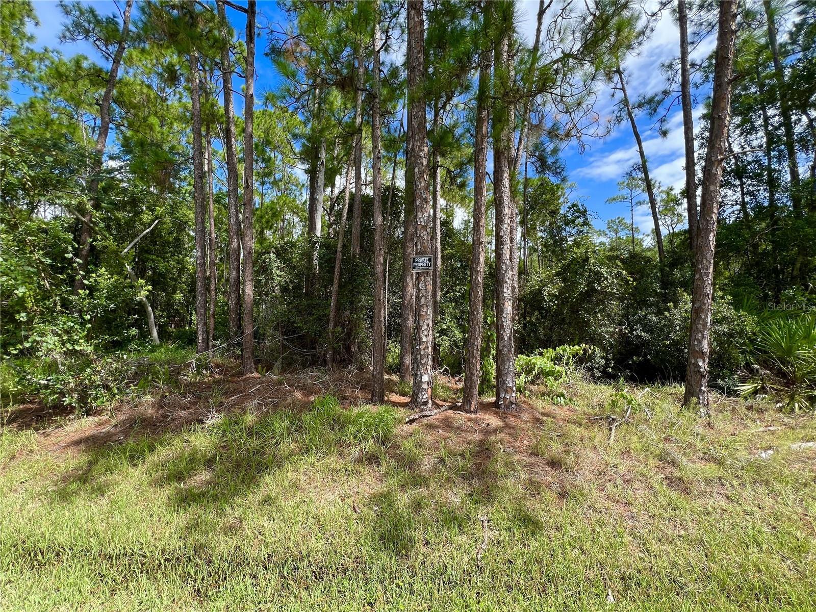 Image 2 of 17 For 14421 Winterset Drive