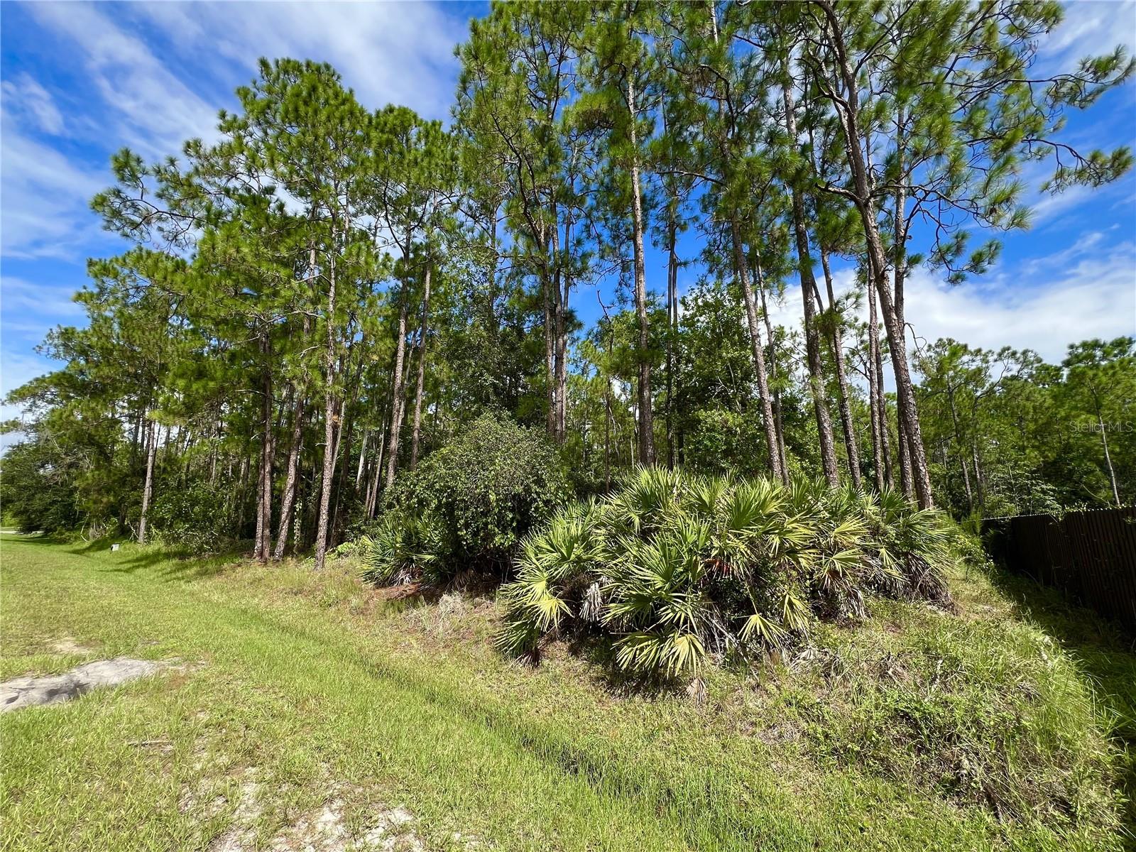 Image 4 of 17 For 14421 Winterset Drive