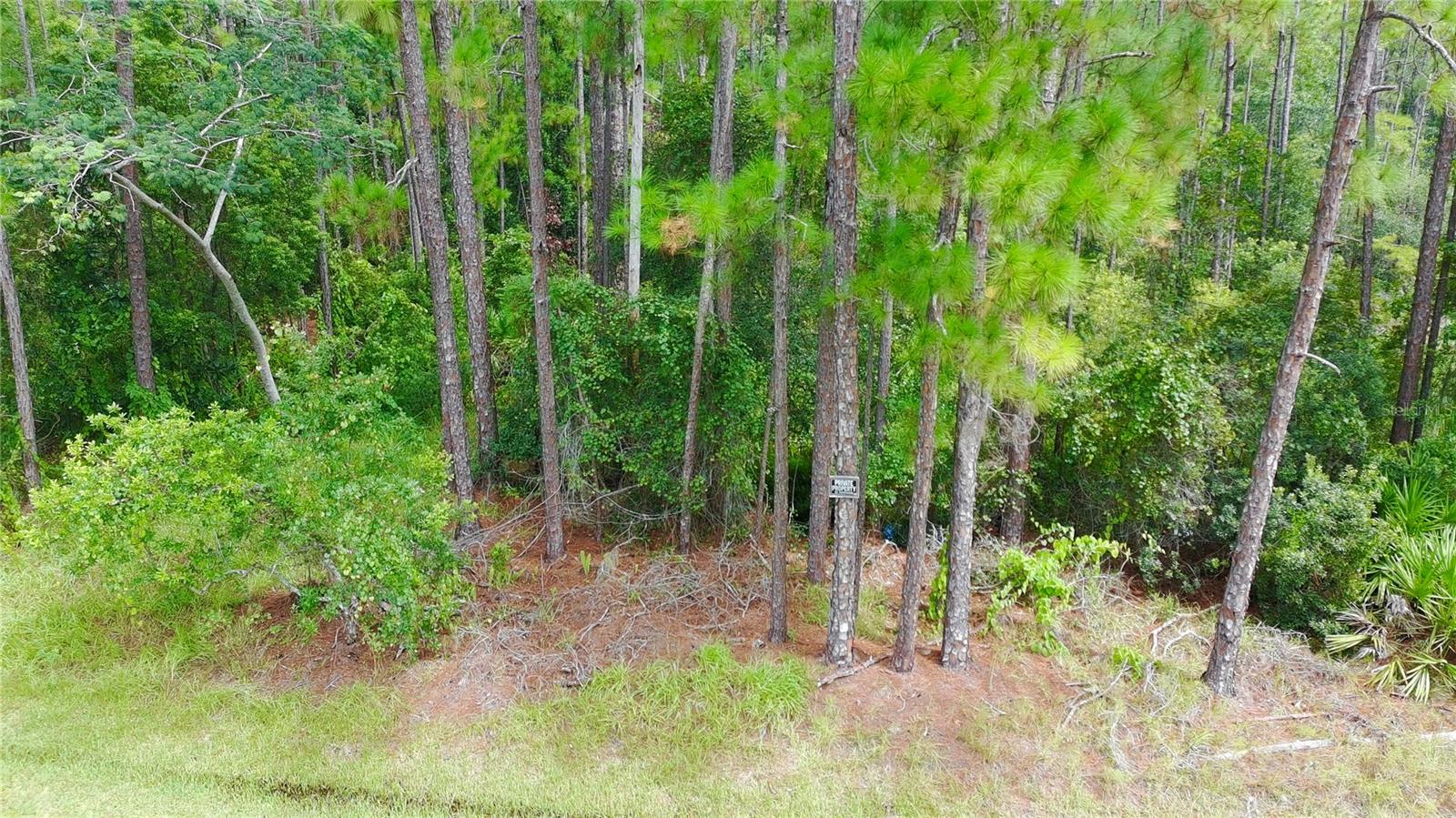 Image 6 of 17 For 14421 Winterset Drive