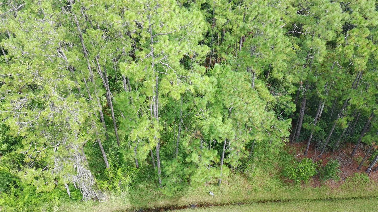 Image 7 of 17 For 14421 Winterset Drive