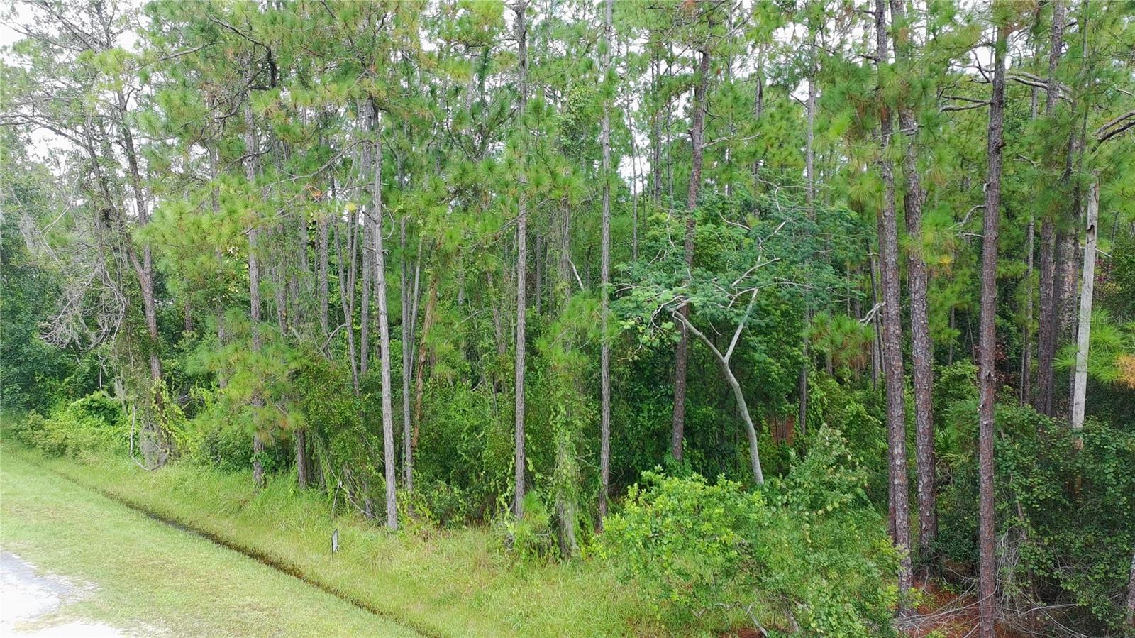Image 8 of 17 For 14421 Winterset Drive