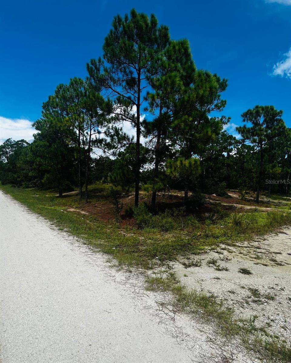 Details for 486 Dreamland Drive, LAKE PLACID, FL 33852