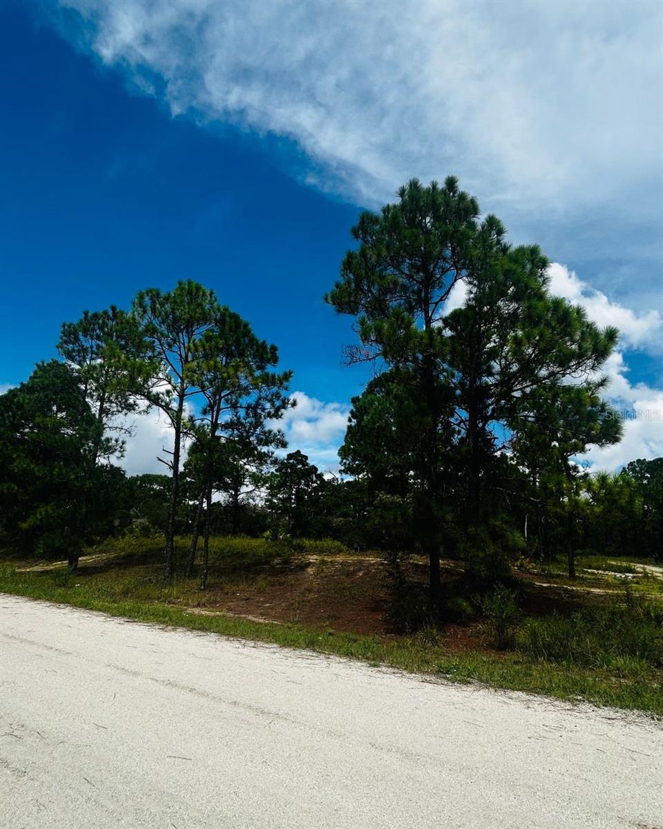 Image 2 of 2 For 486 Dreamland Drive