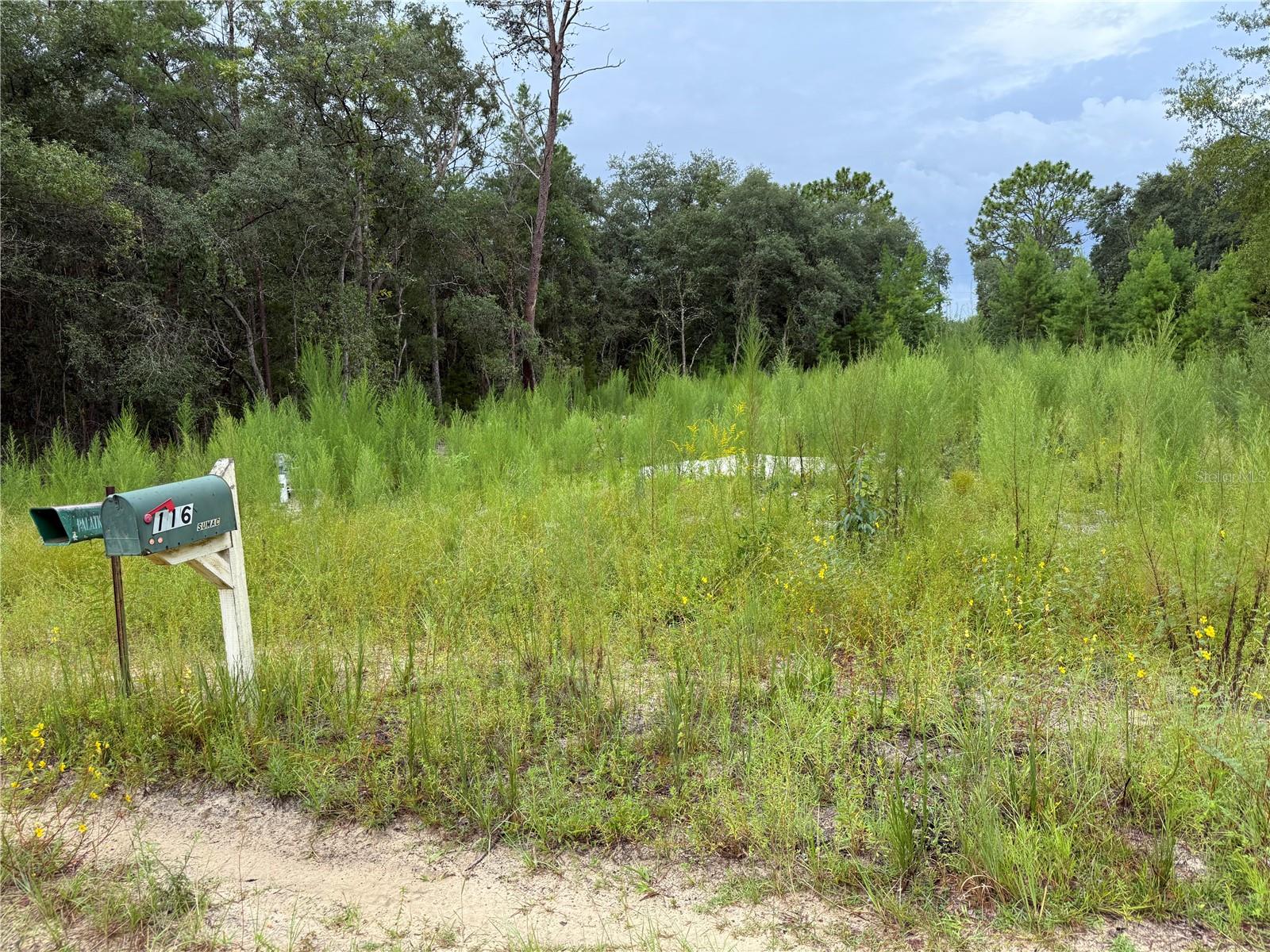 Details for 117 Sumac Street, INTERLACHEN, FL 32148