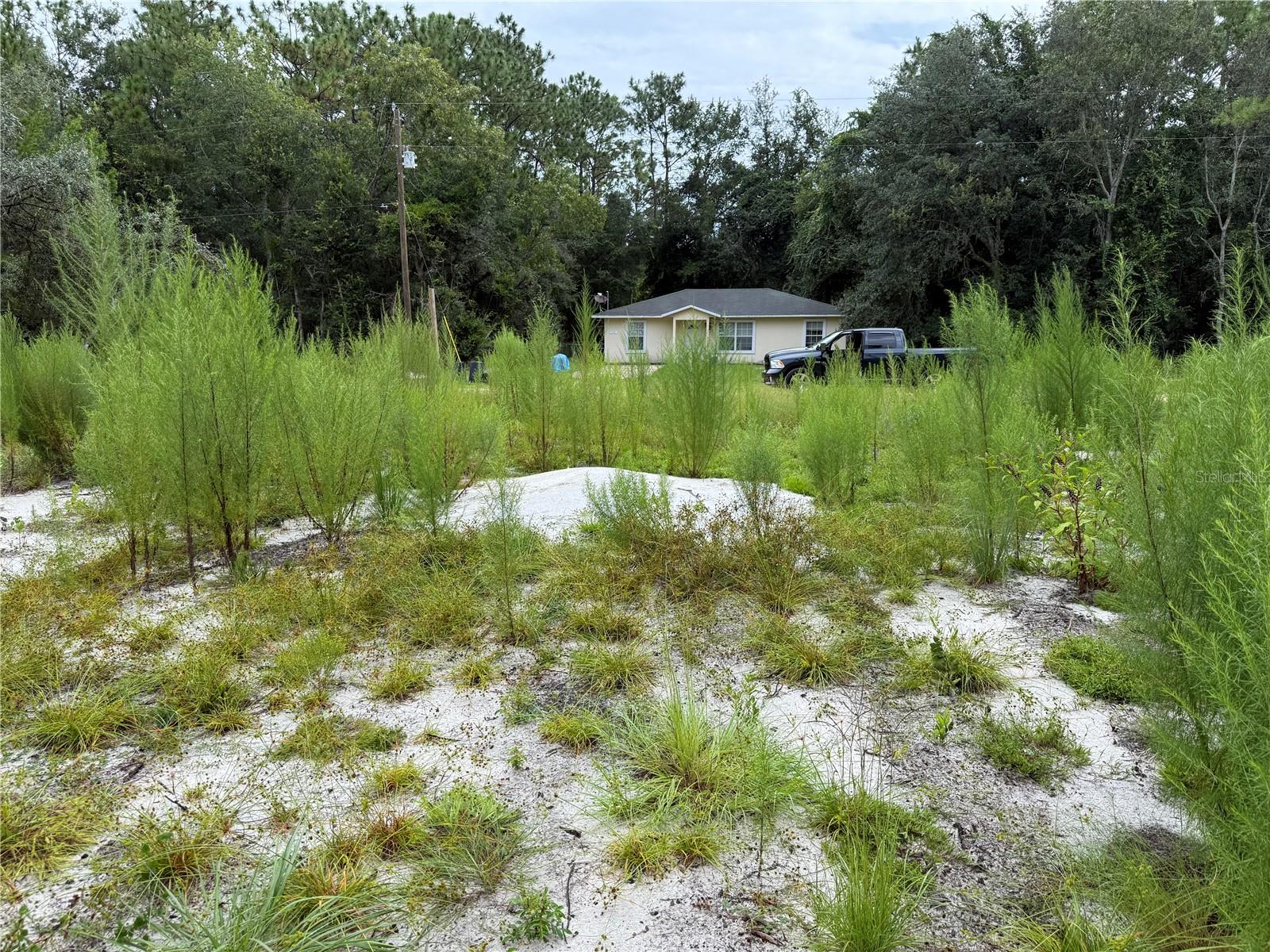 Image 11 of 19 For 117 Sumac Street