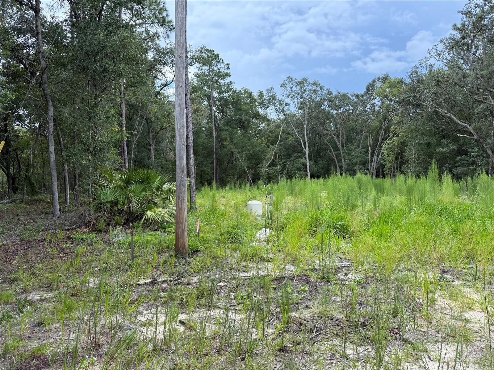Details for 106 Jackson Avenue, INTERLACHEN, FL 32148
