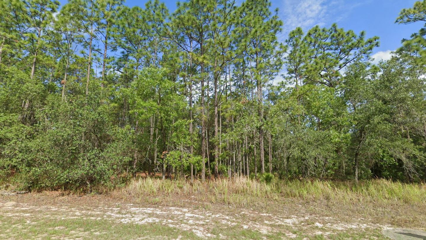 Details for 5912 Matheson Drive, CITRUS SPRINGS, FL 34434