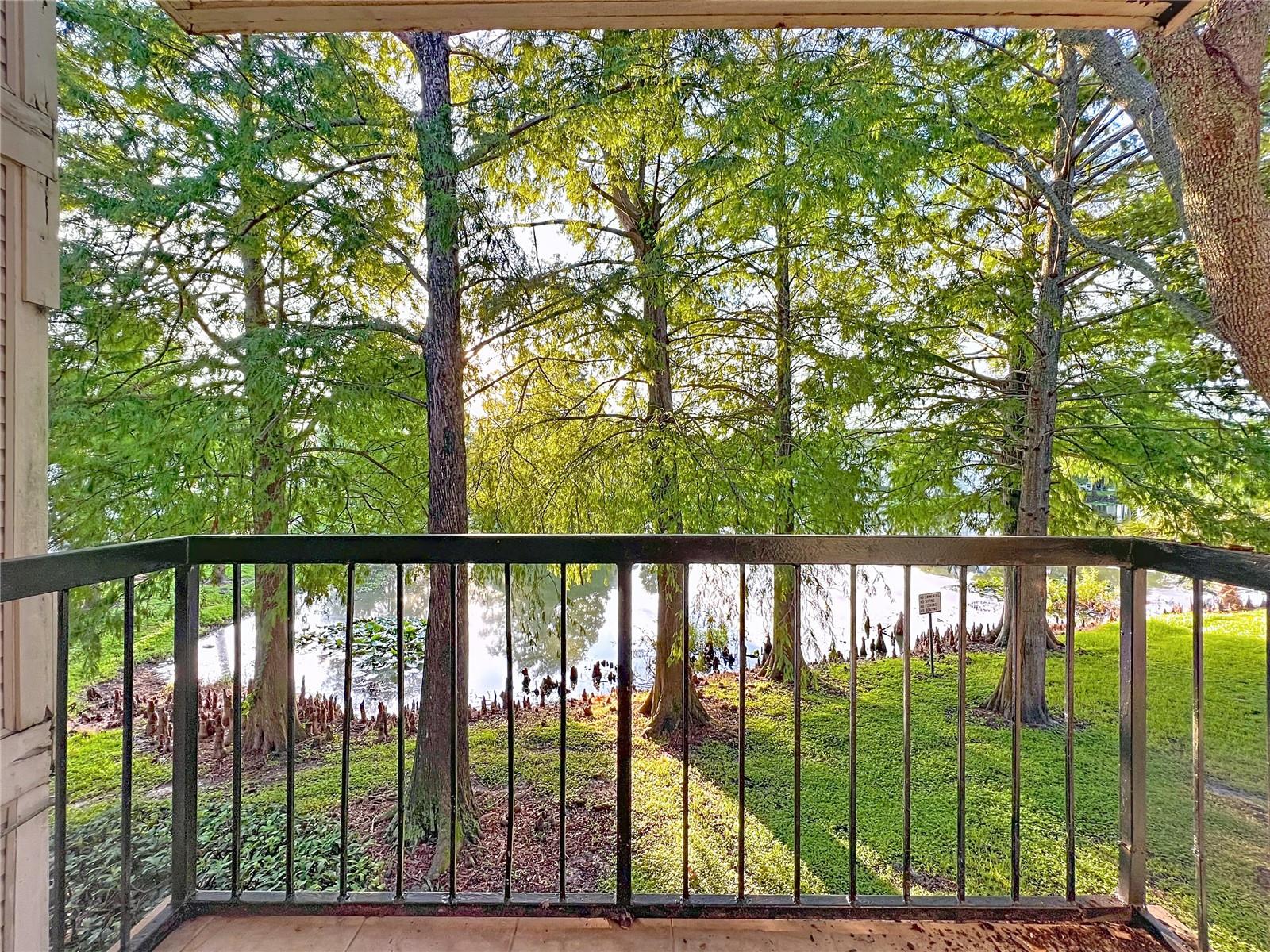 Image 40 of 53 For 1932 Lake Atriums Cir  83