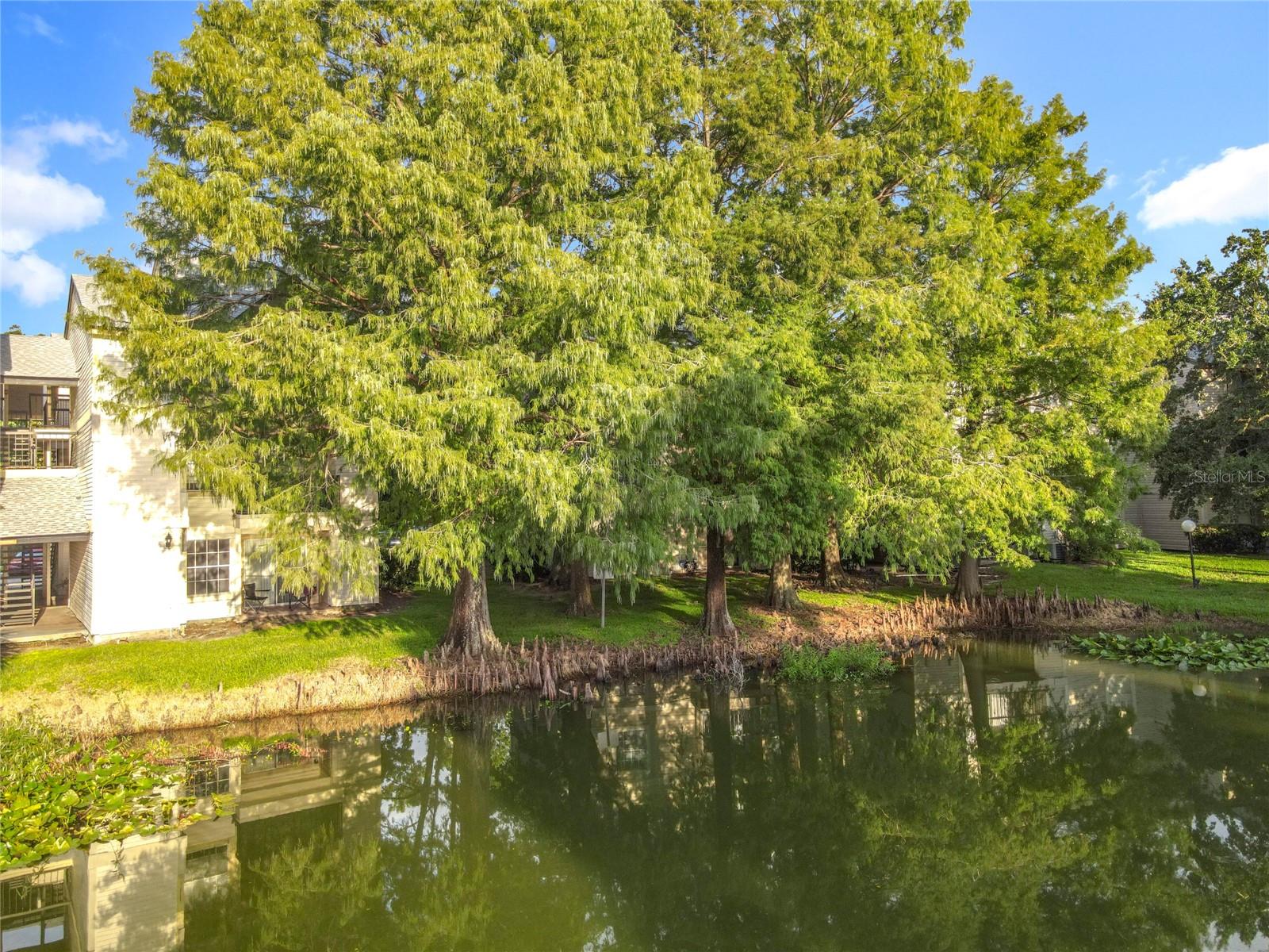 Image 43 of 53 For 1932 Lake Atriums Cir  83