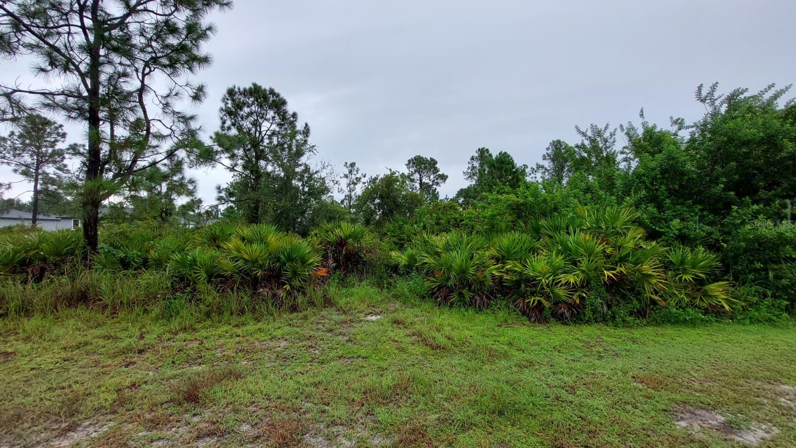 Image 4 of 5 For 1153 Dutchess Street E