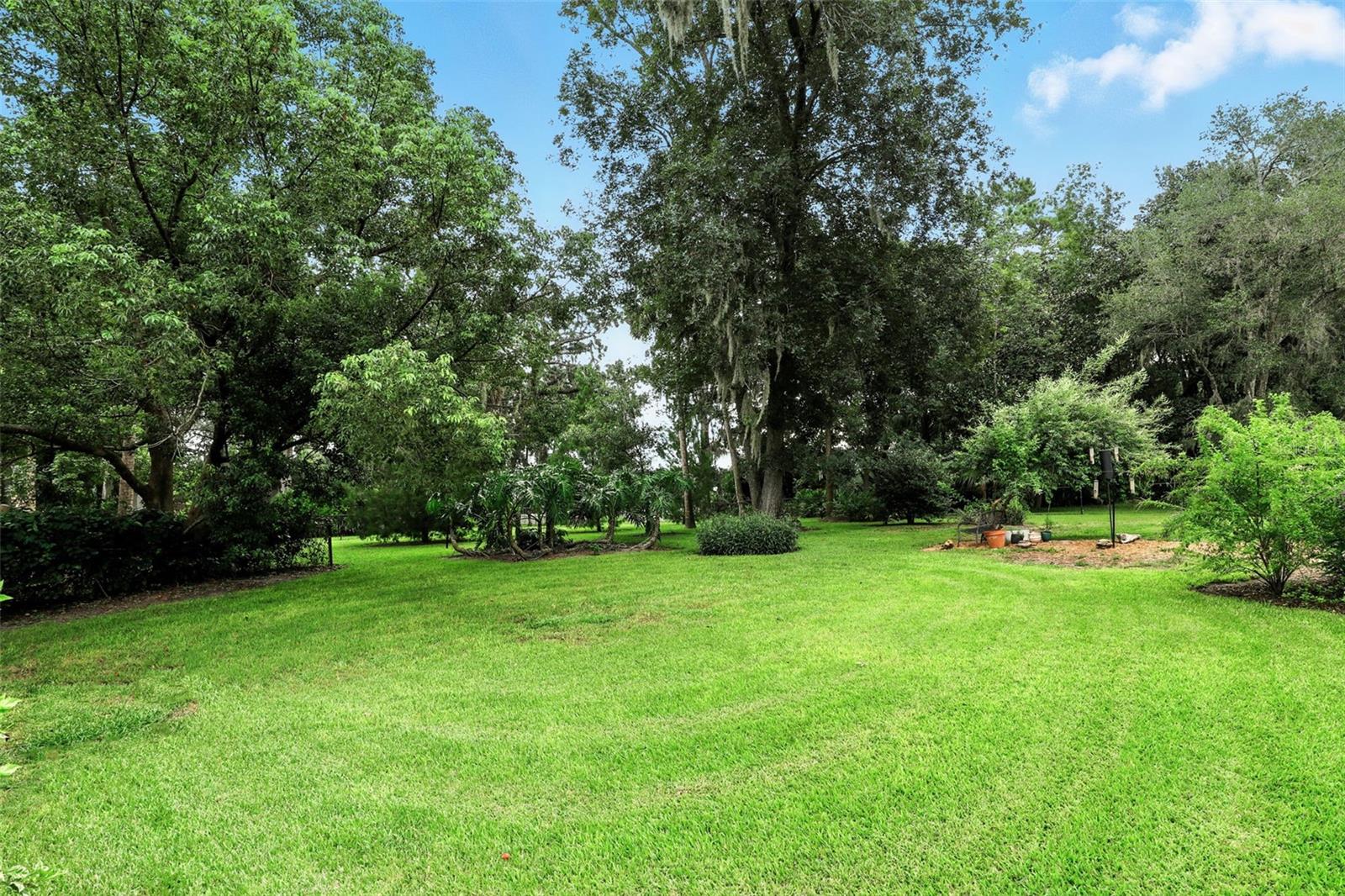 Image 38 of 43 For 311 Palmetto St