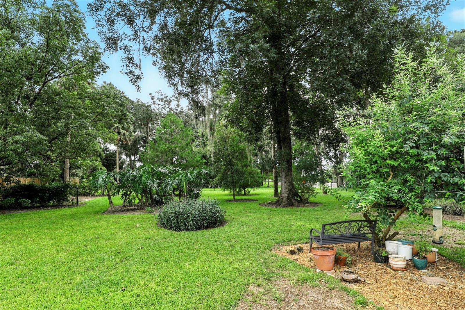 Image 39 of 43 For 311 Palmetto St
