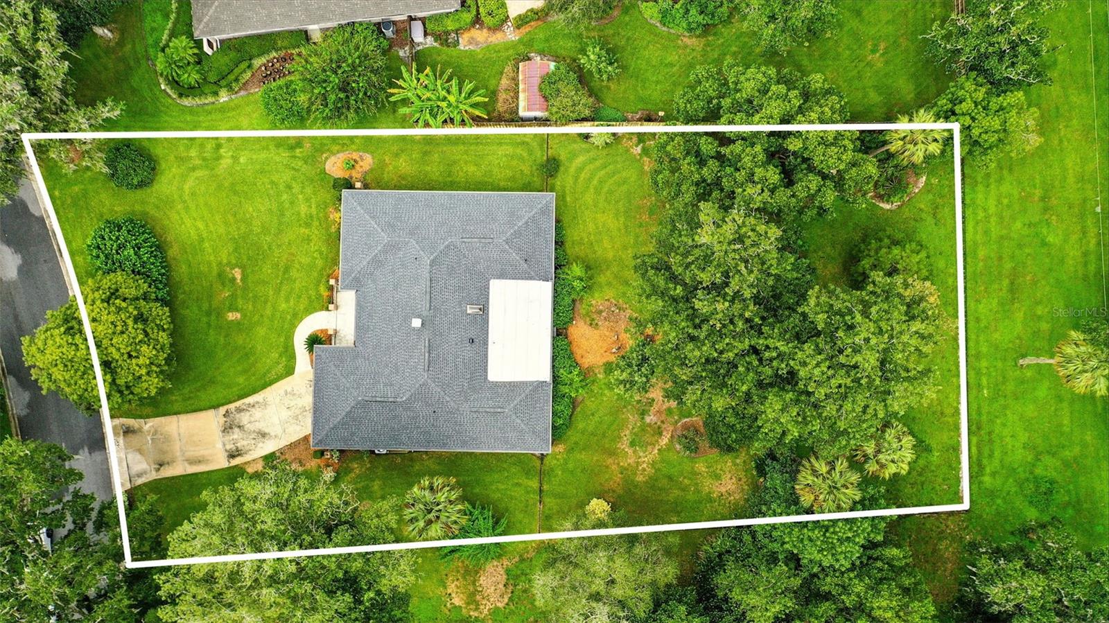 Image 4 of 43 For 311 Palmetto St