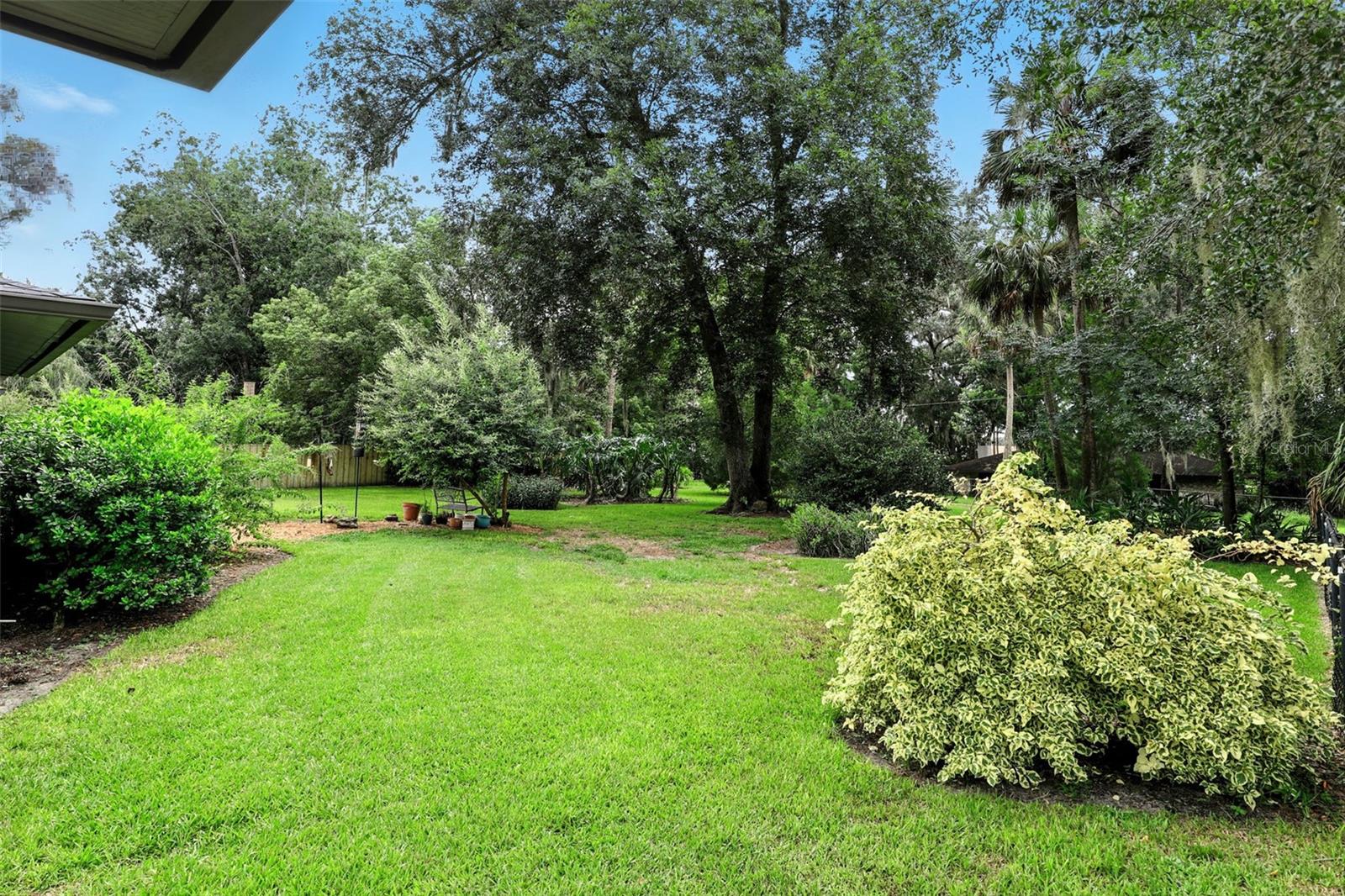 Image 5 of 43 For 311 Palmetto St