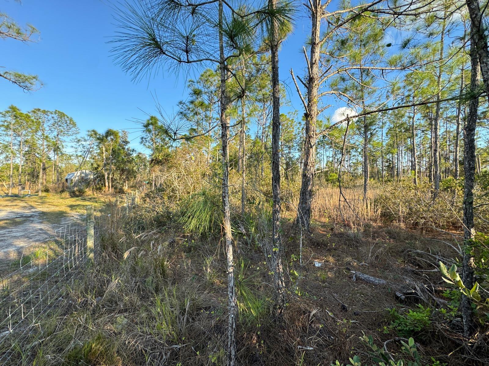 Image 2 of 10 For 8108 Austrian Boulevard
