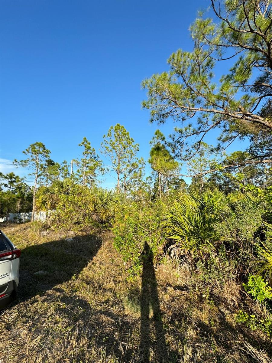 Image 4 of 10 For 8108 Austrian Boulevard