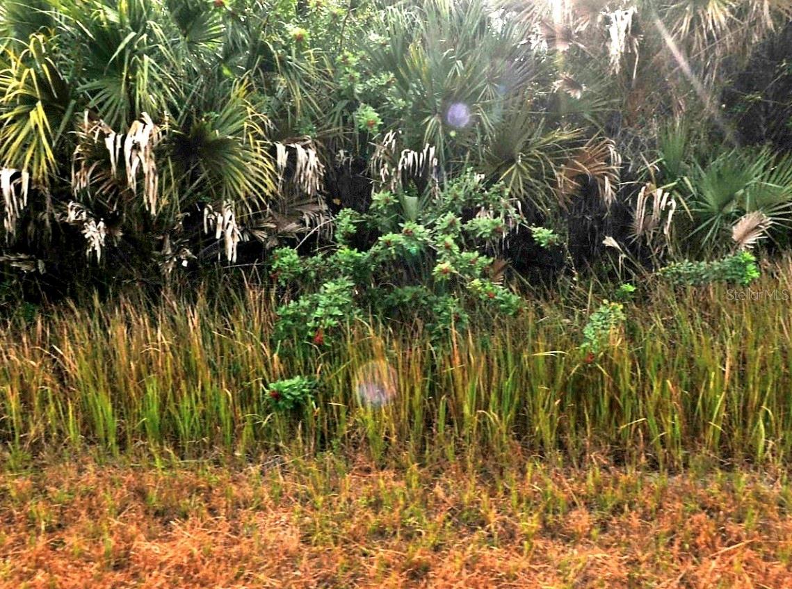 Listing Details for Sernice Street, NORTH PORT, FL 34288