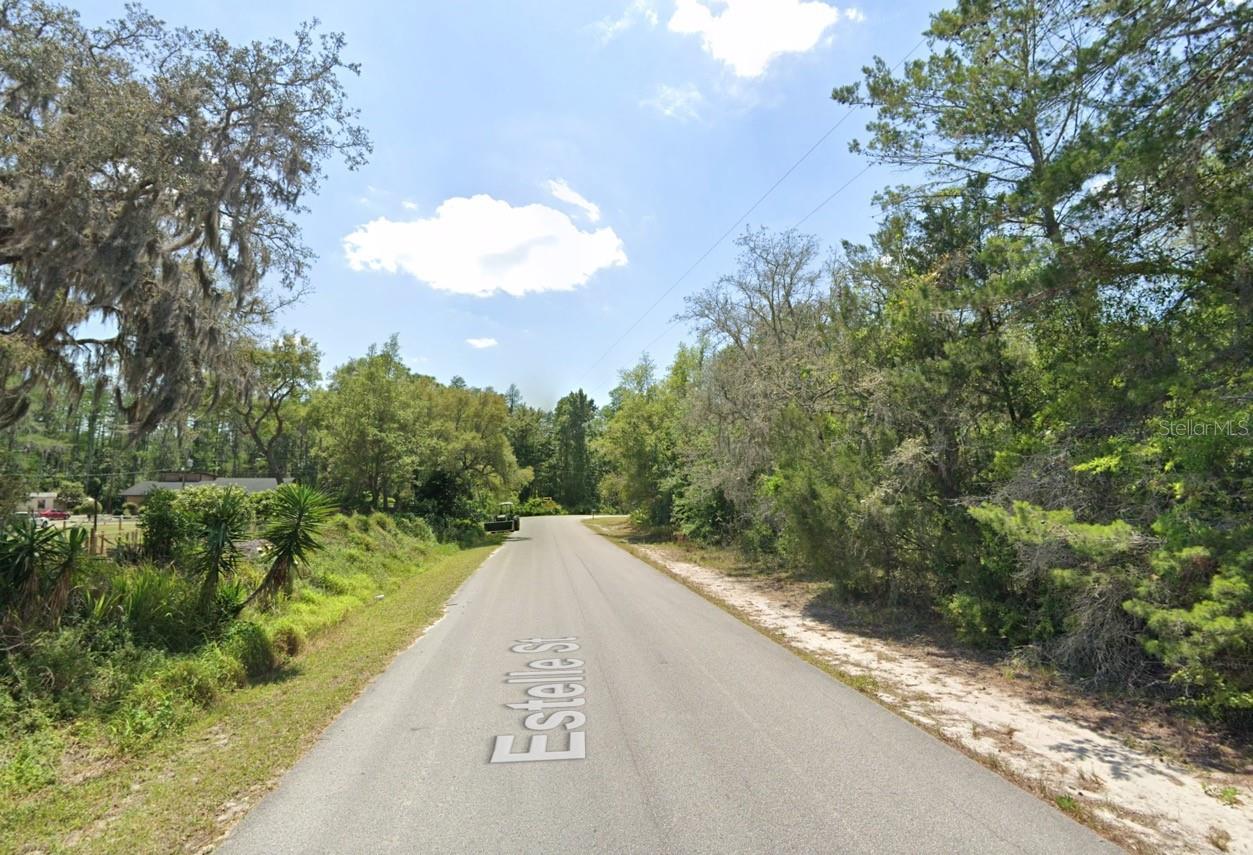 Listing photo id 1 for 0 Estelle Street