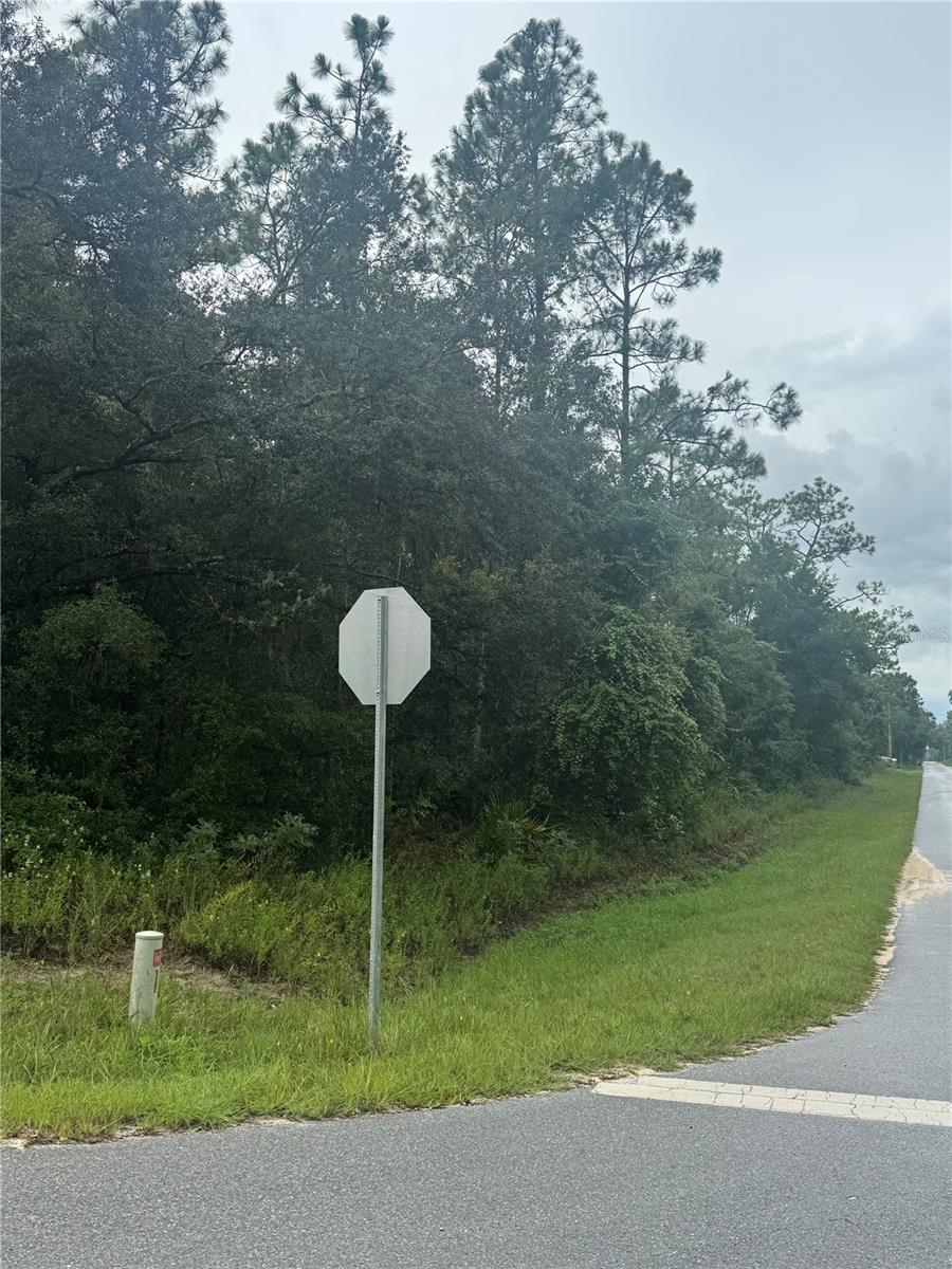 Image 2 of 9 For Southeast Avenue