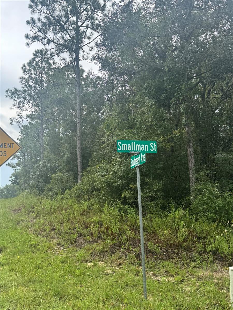 Image 3 of 9 For Southeast Avenue