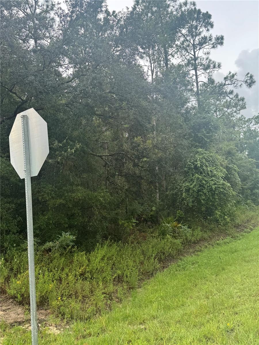 Image 4 of 9 For Southeast Avenue