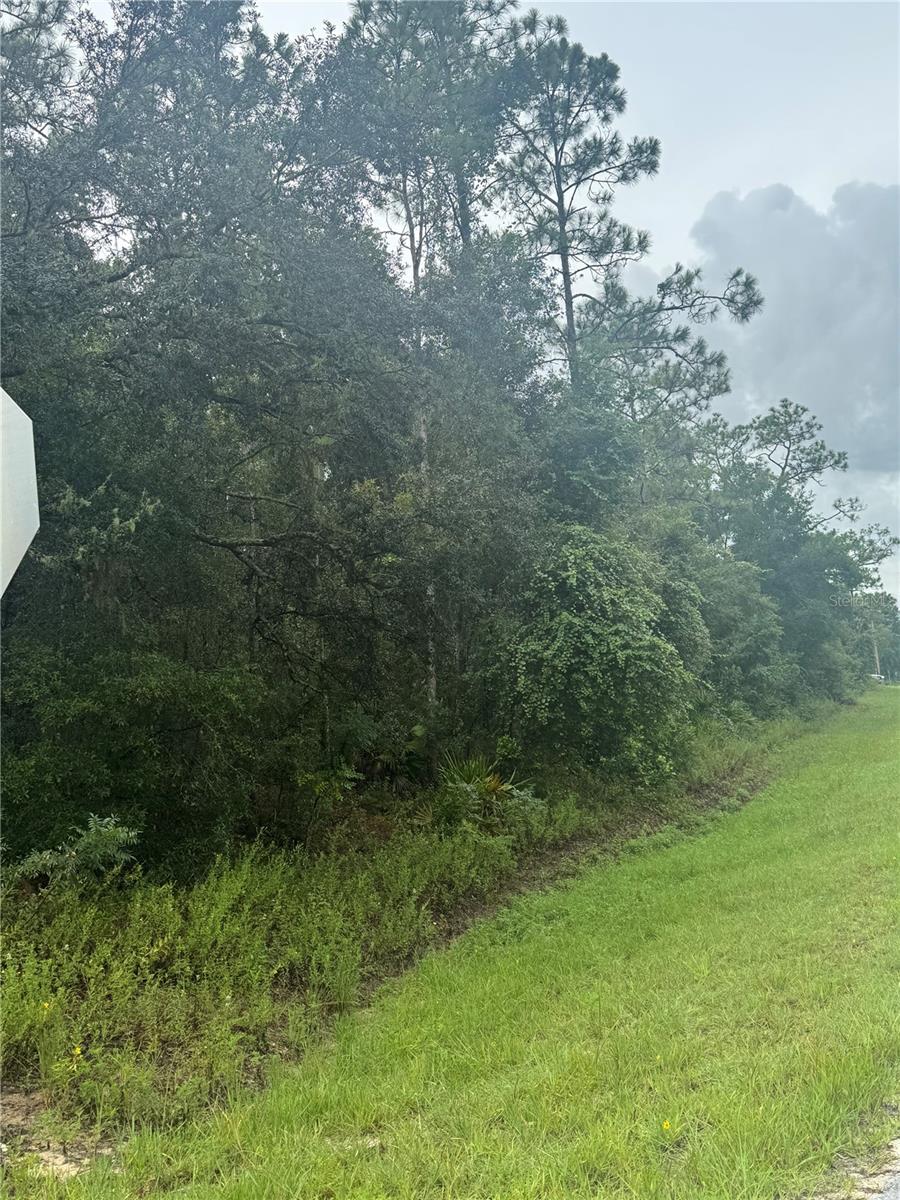 Image 5 of 9 For Southeast Avenue