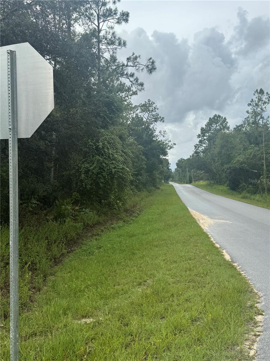 Image 6 of 9 For Southeast Avenue