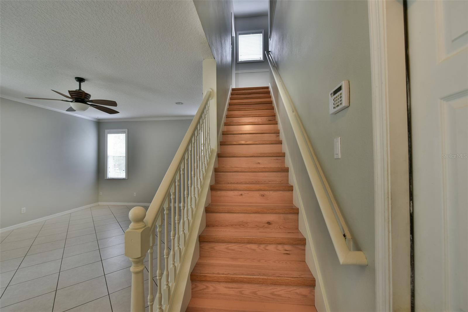 Image 16 of 61 For 3341 Lake Jean Drive