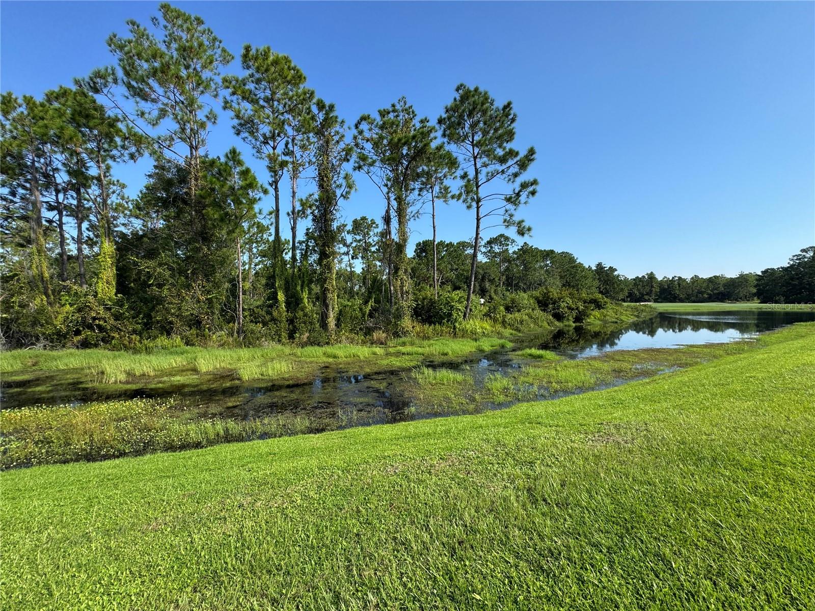 Image 38 of 70 For 3113 Legends Preserve Drive