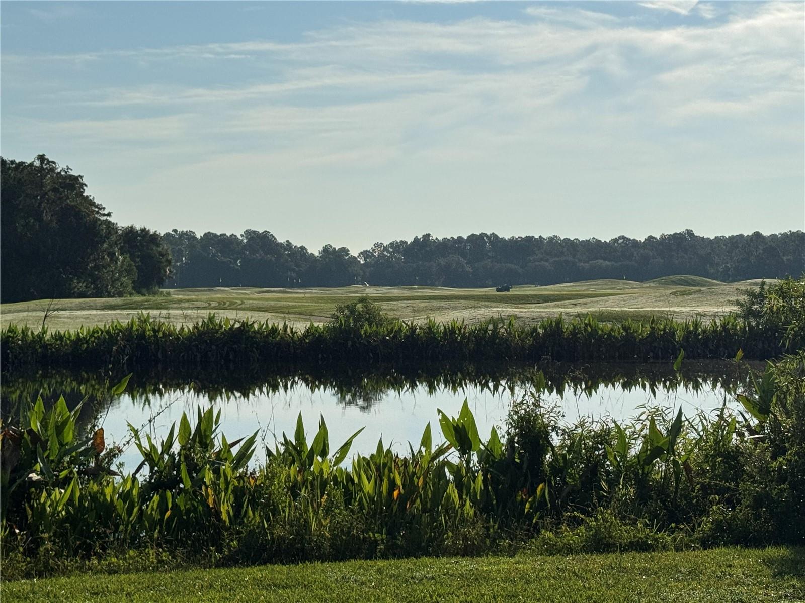 Image 43 of 70 For 3113 Legends Preserve Drive