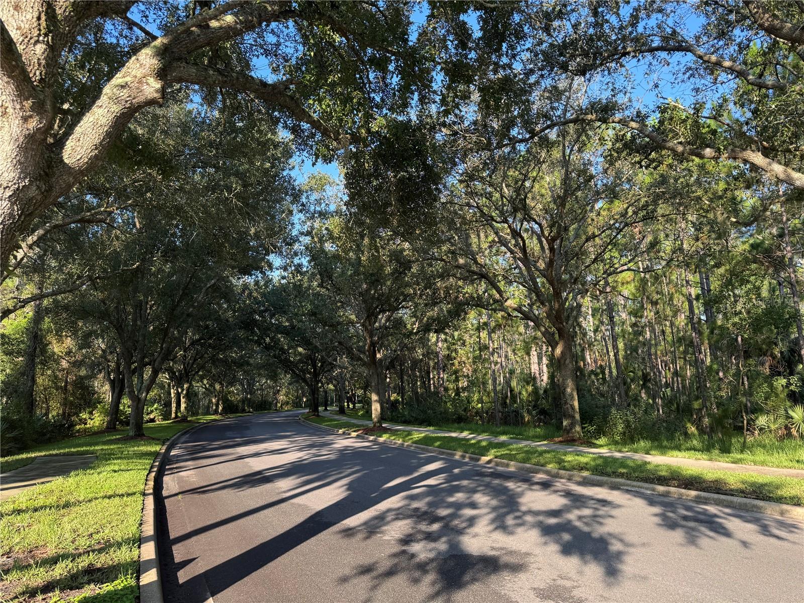 Image 47 of 70 For 3113 Legends Preserve Drive
