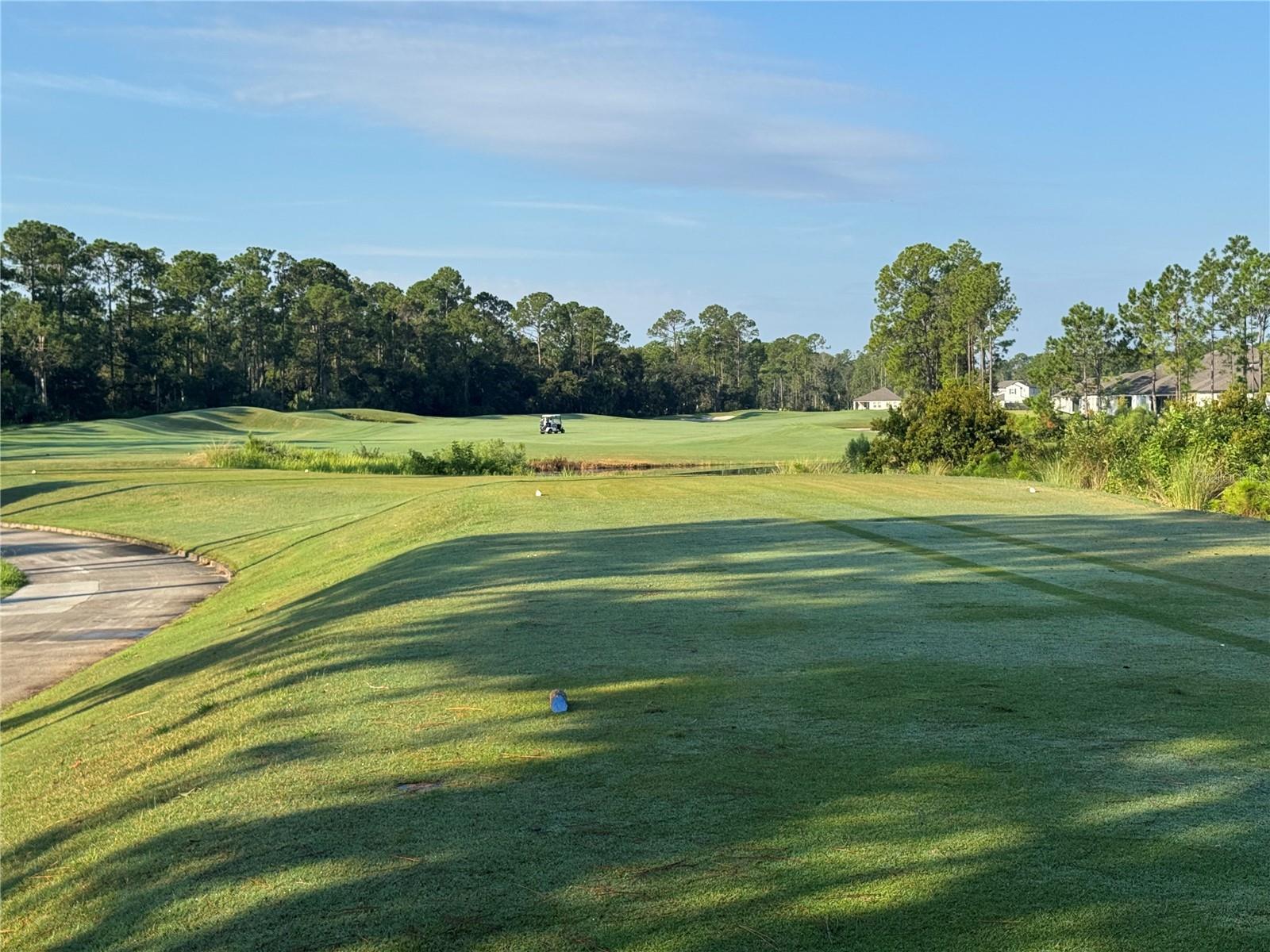 Image 59 of 70 For 3113 Legends Preserve Drive