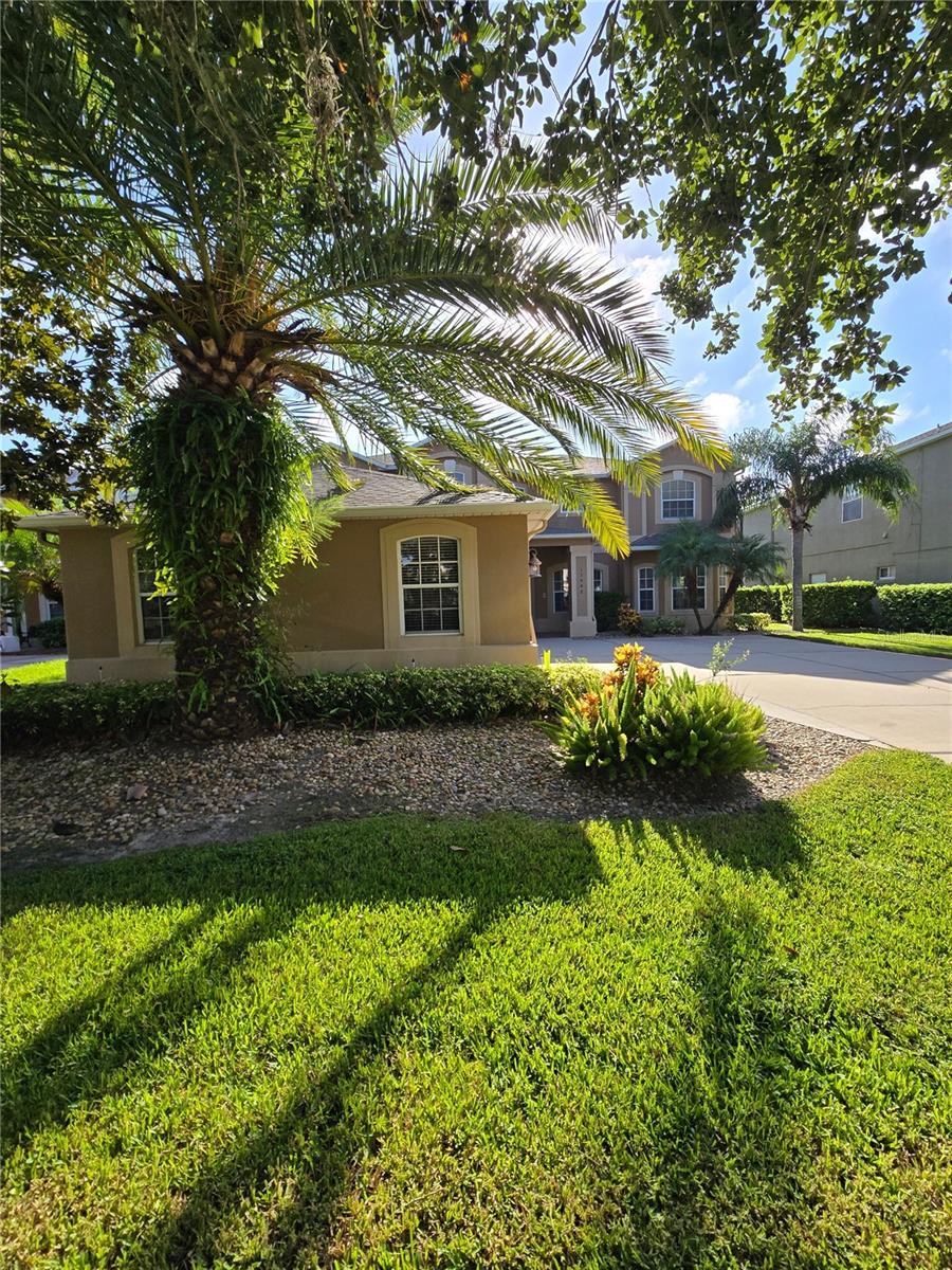 Details for 13642 Fox Glove Street, WINTER GARDEN, FL 34787