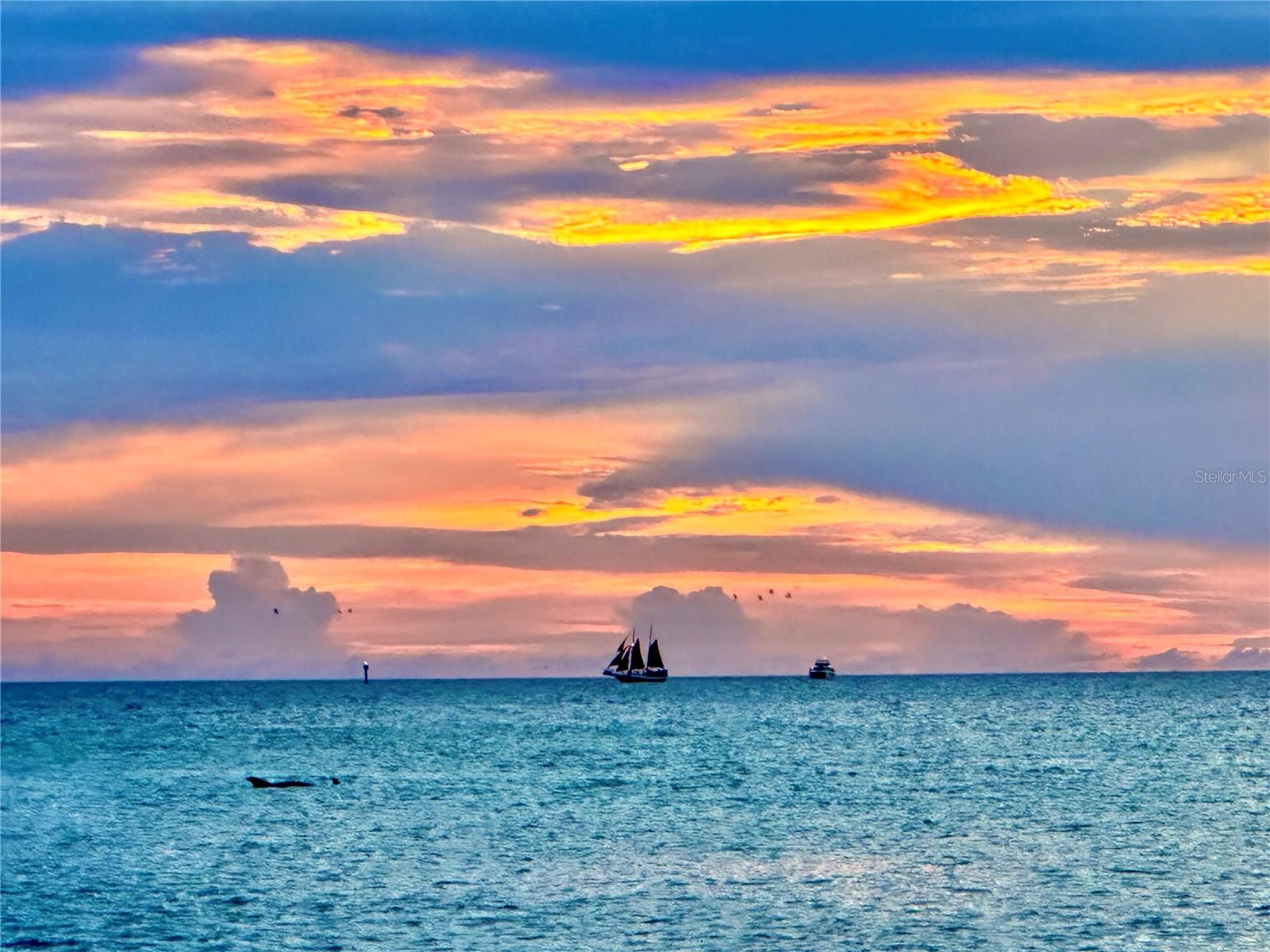 Image 2 of 41 For 13720 Gulf Boulevard 609