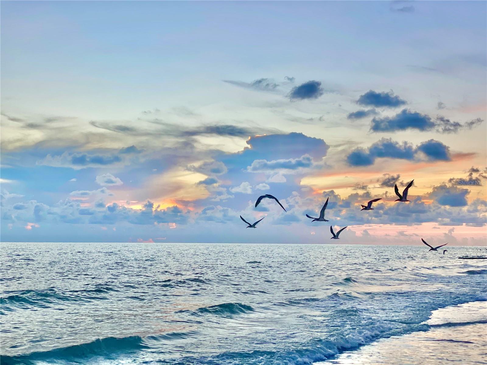 Image 5 of 41 For 13720 Gulf Boulevard 609