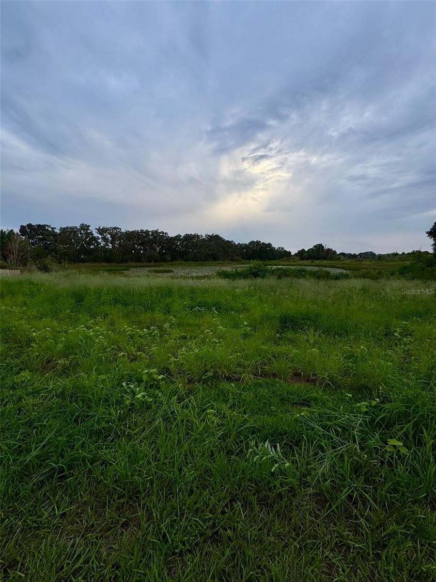 Image 8 of 10 For 367 North Boulevard W