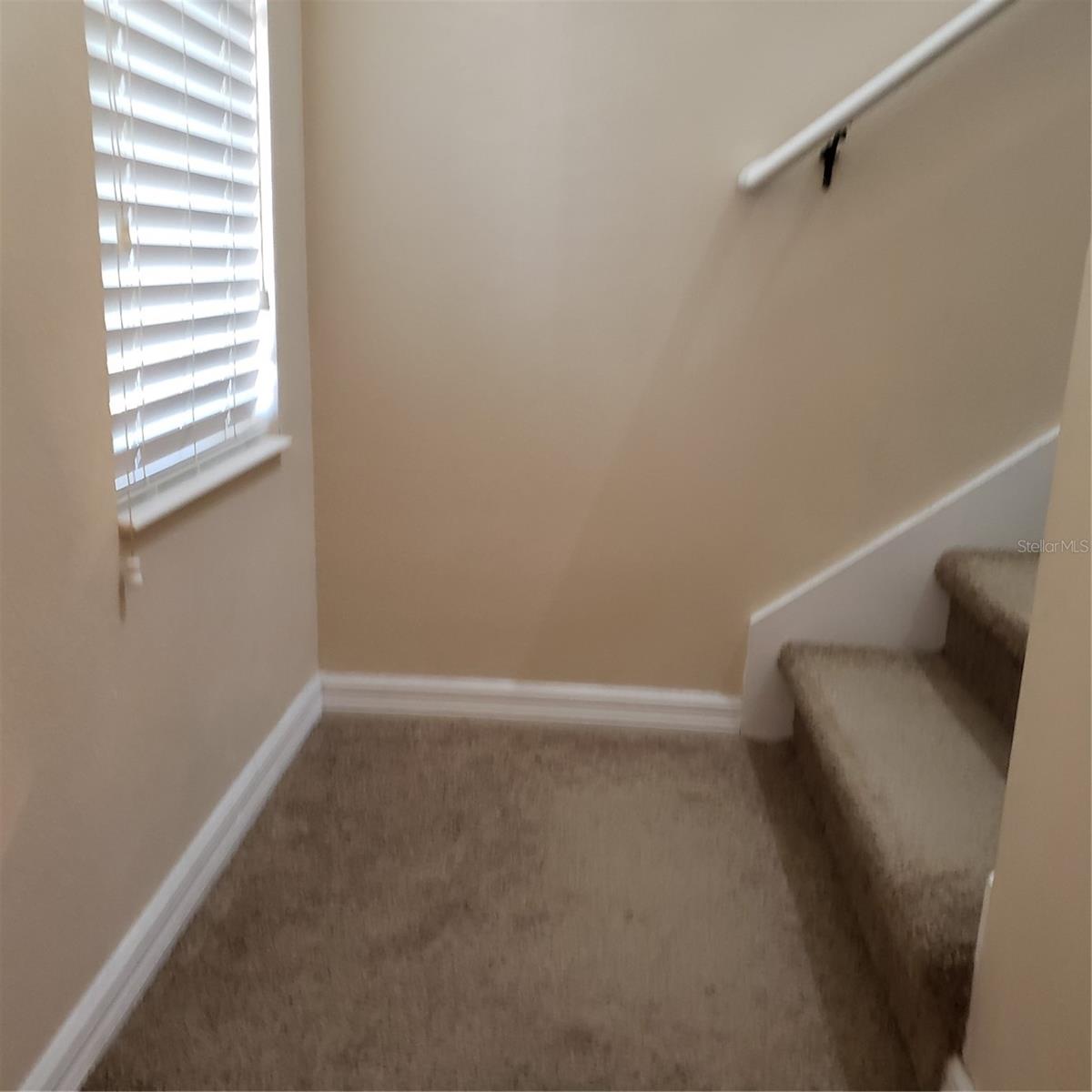Image 16 of 60 For 2020 Leather Fern Drive