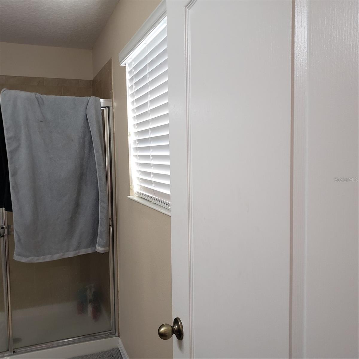 Image 23 of 60 For 2020 Leather Fern Drive