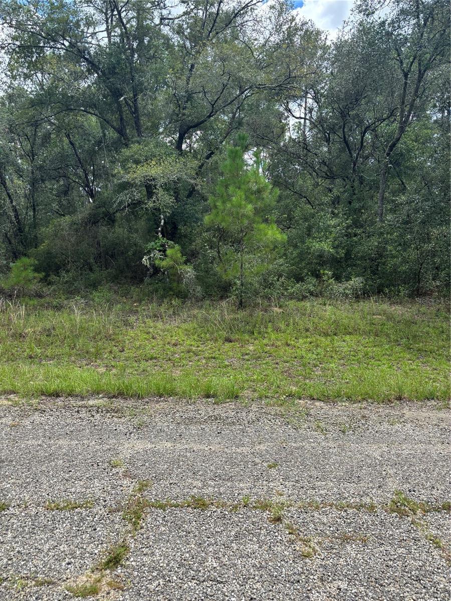 Details for 875 Elston Place, DUNNELLON, FL 34434