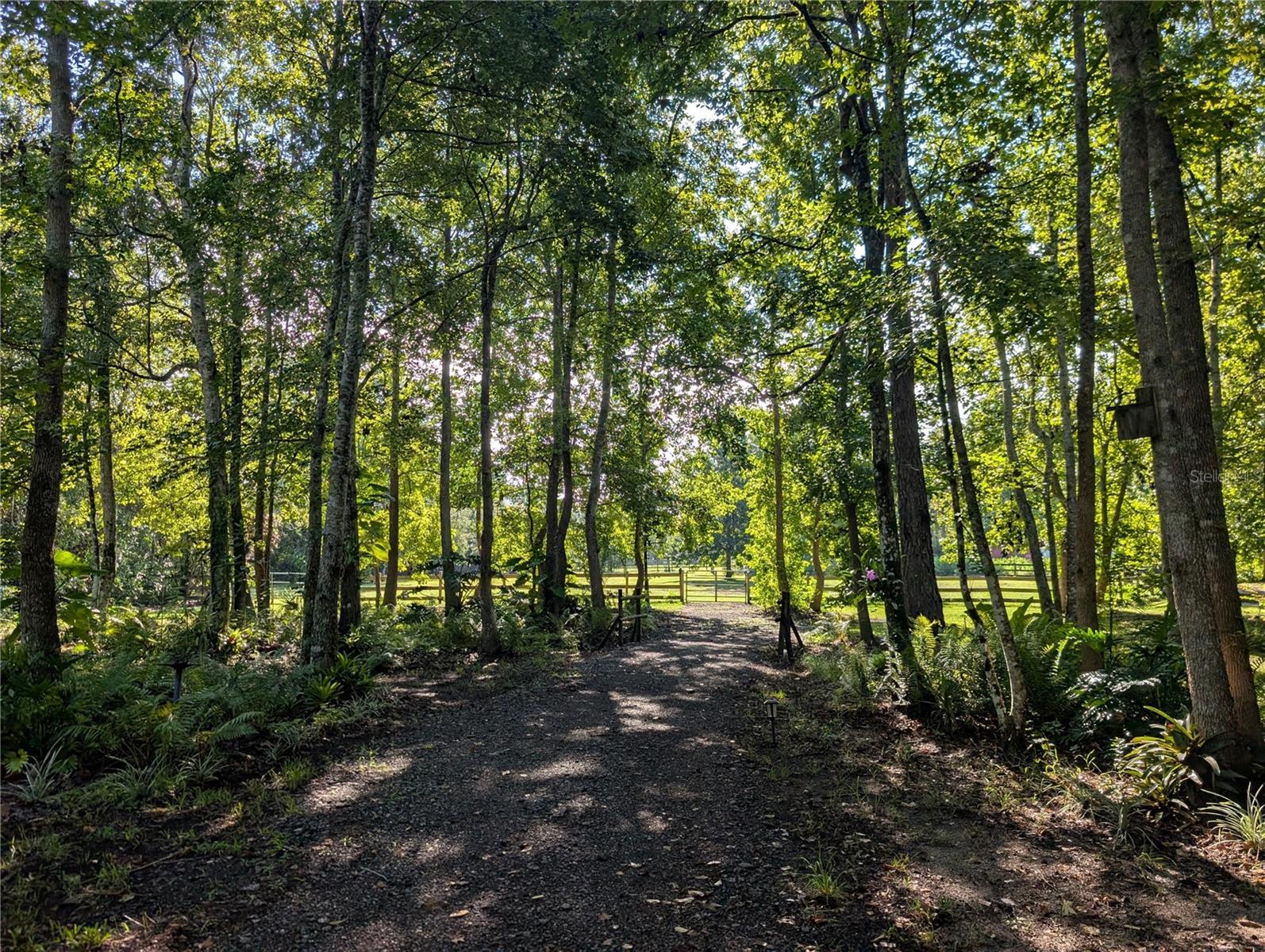 Image 10 of 11 For Old River Trail