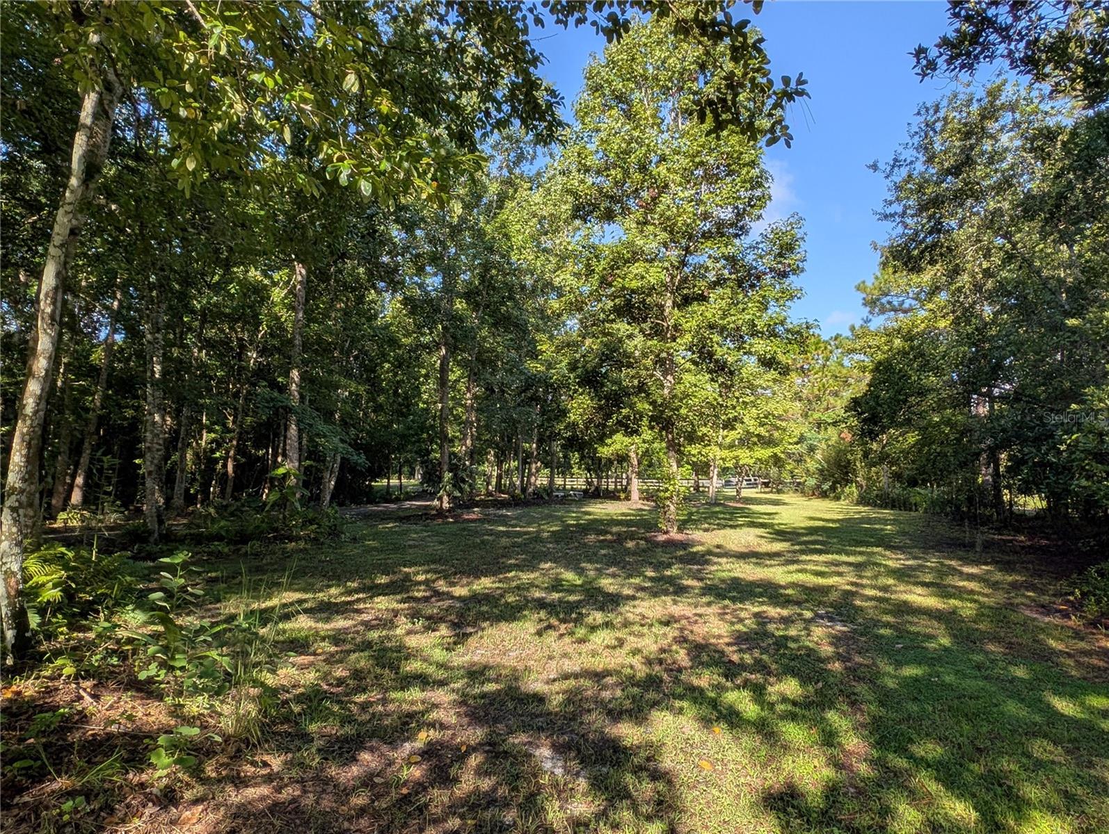 Image 7 of 11 For Old River Trail