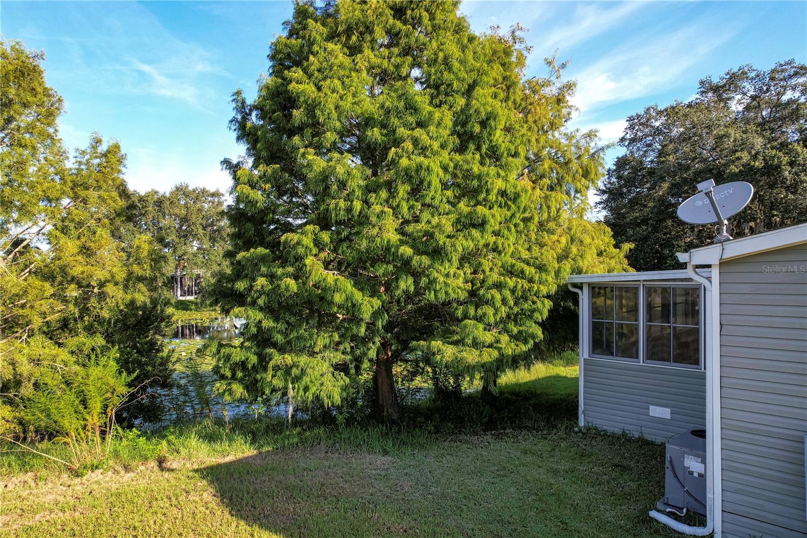 Image 6 of 29 For 25144 Spanish Moss Circle